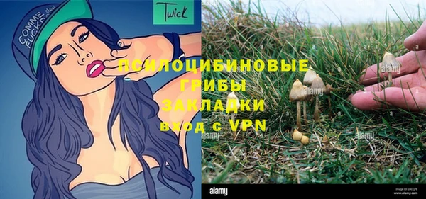 молекула духа Сатка