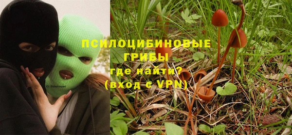 молекула духа Сатка